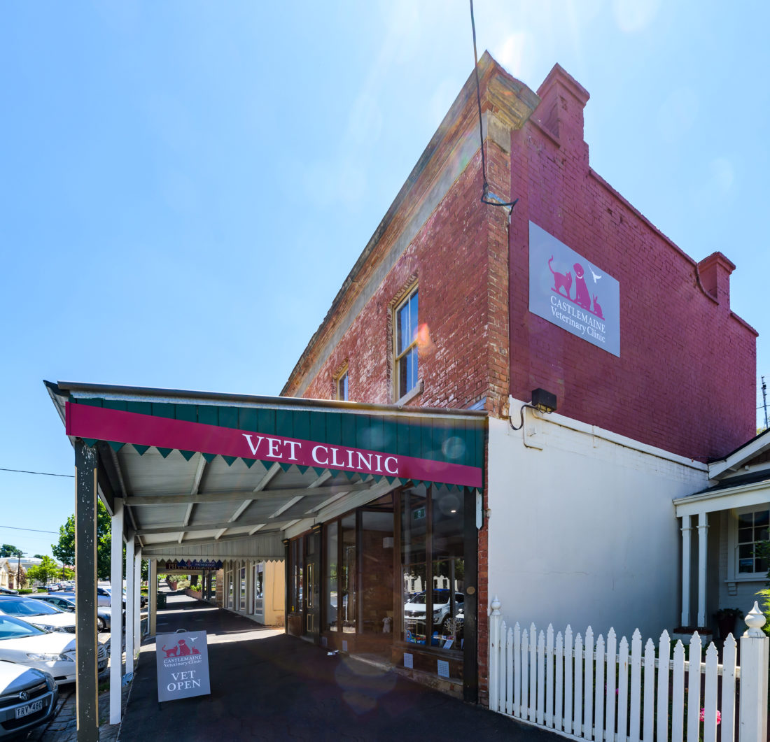 Castlemaine Veterinary Clinic 13